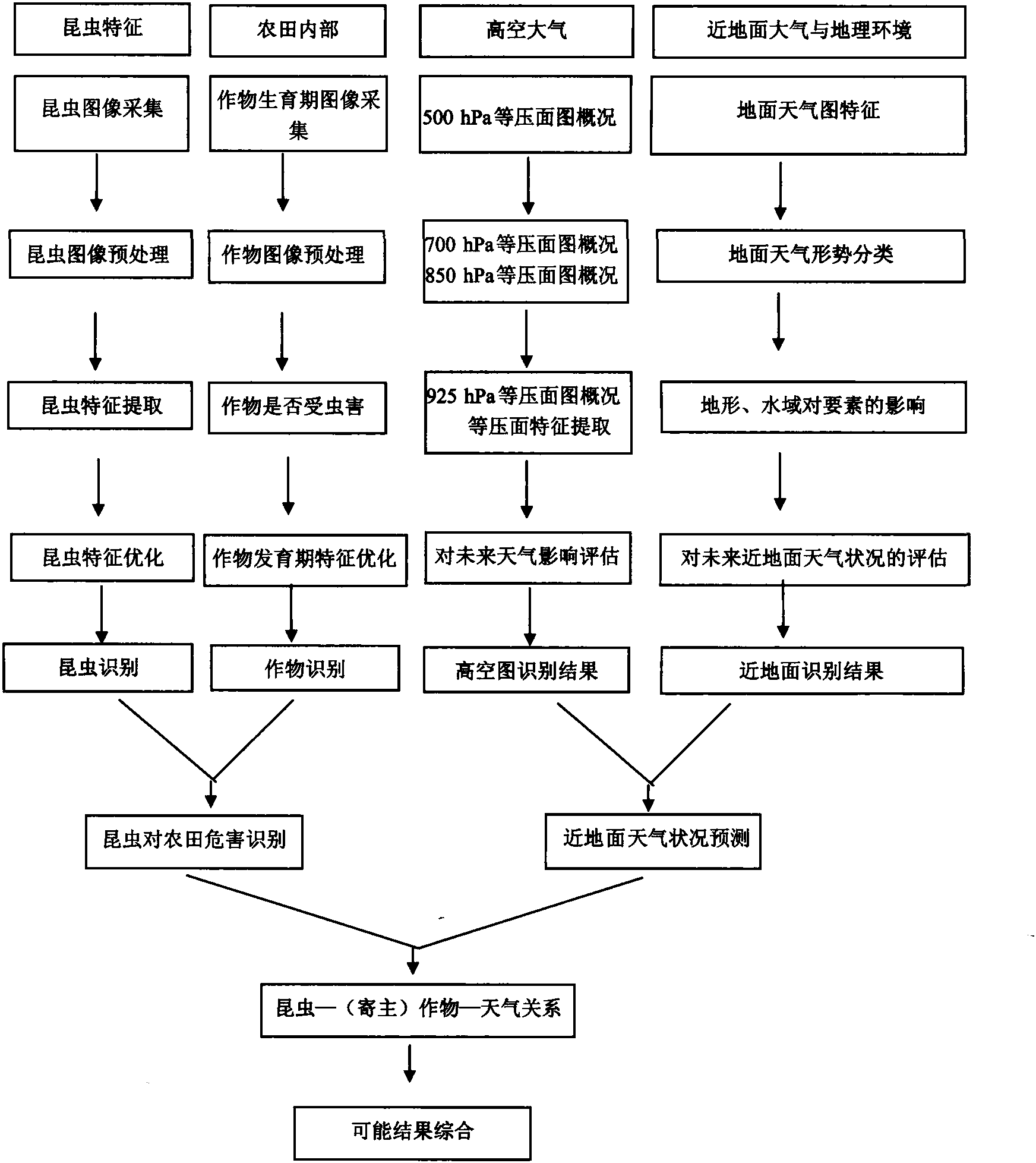 一、昆蟲識別要點(diǎn)